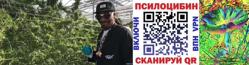 Псилоцибиновые грибы MAGIC MUSHROOMS  ОМГ ОМГ маркетплейс  Кимовск  дарнет шоп 